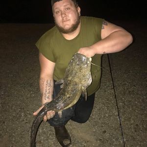 Meet your Posher, Justin